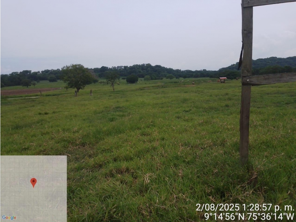 Lote Ganadero en Venta en Sucre - 4