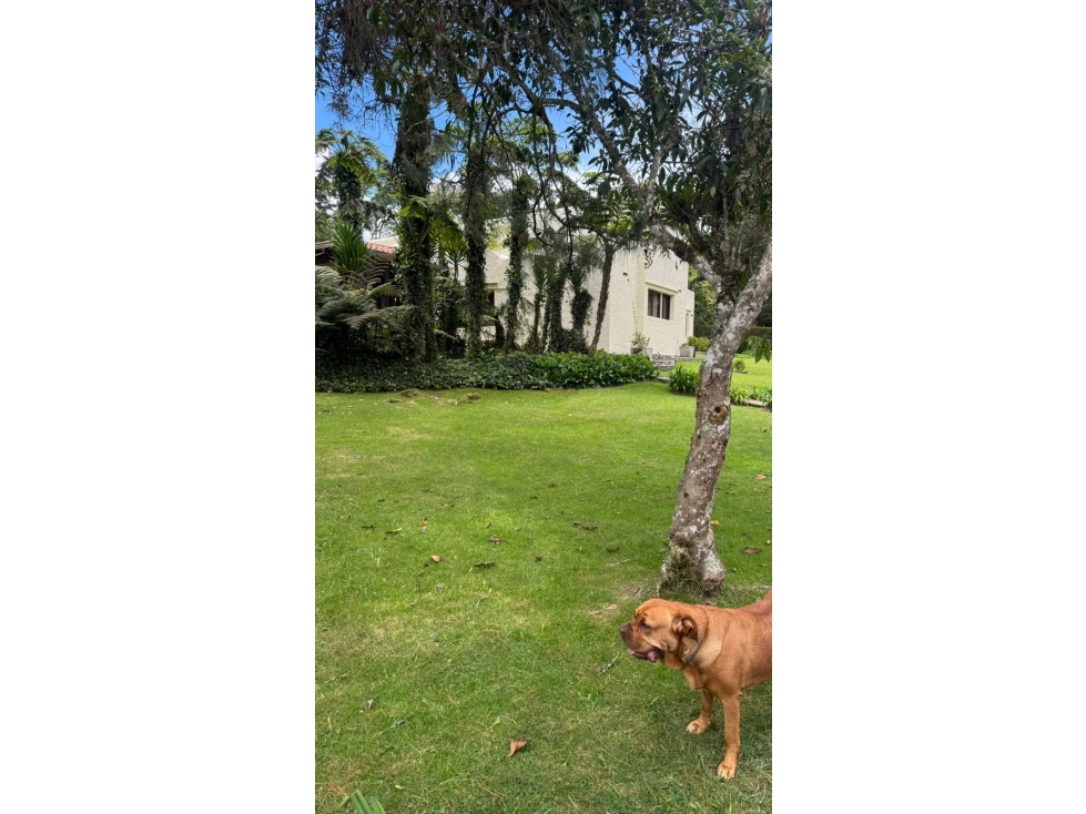 Exclusiva casa finca de lujo amplitud y confort — foto 5