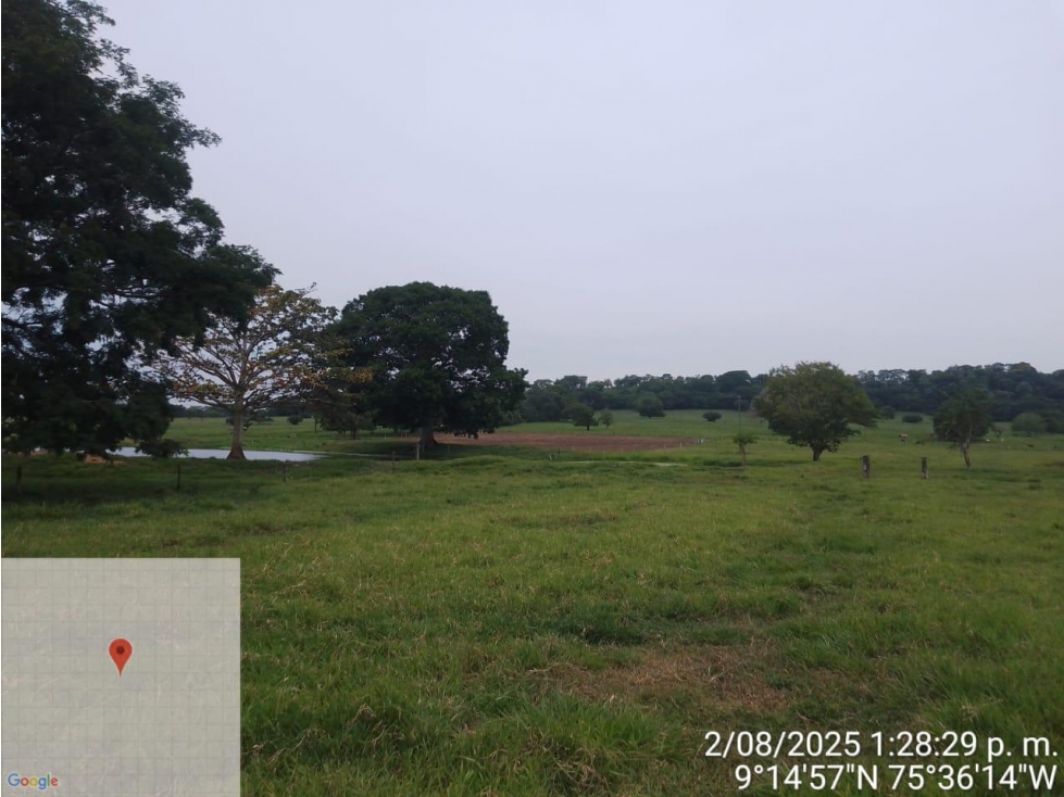 Lote Ganadero en Venta en Sucre - 5