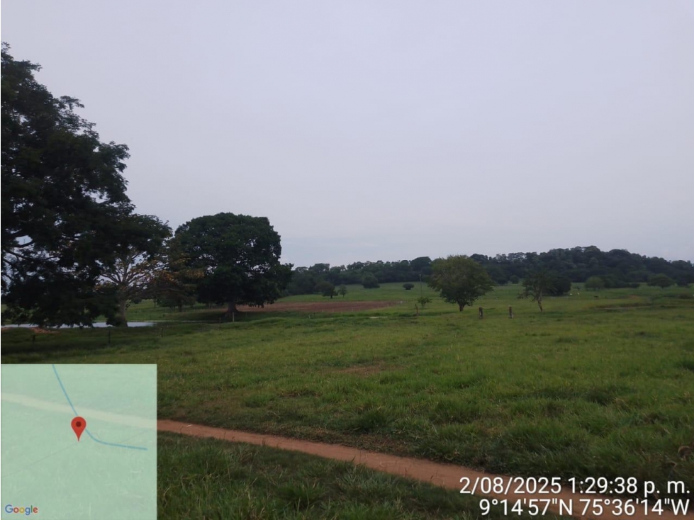Lote Ganadero en Venta en Sucre - 6
