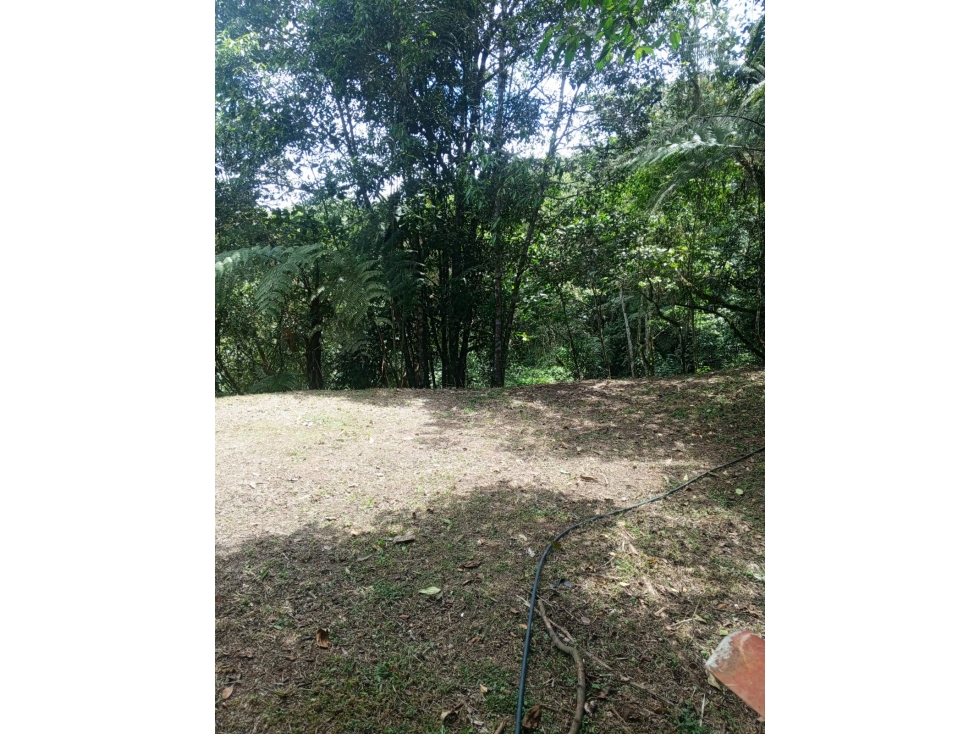 VENTA LOTE EN TOCOTA | DAGUA - 2
