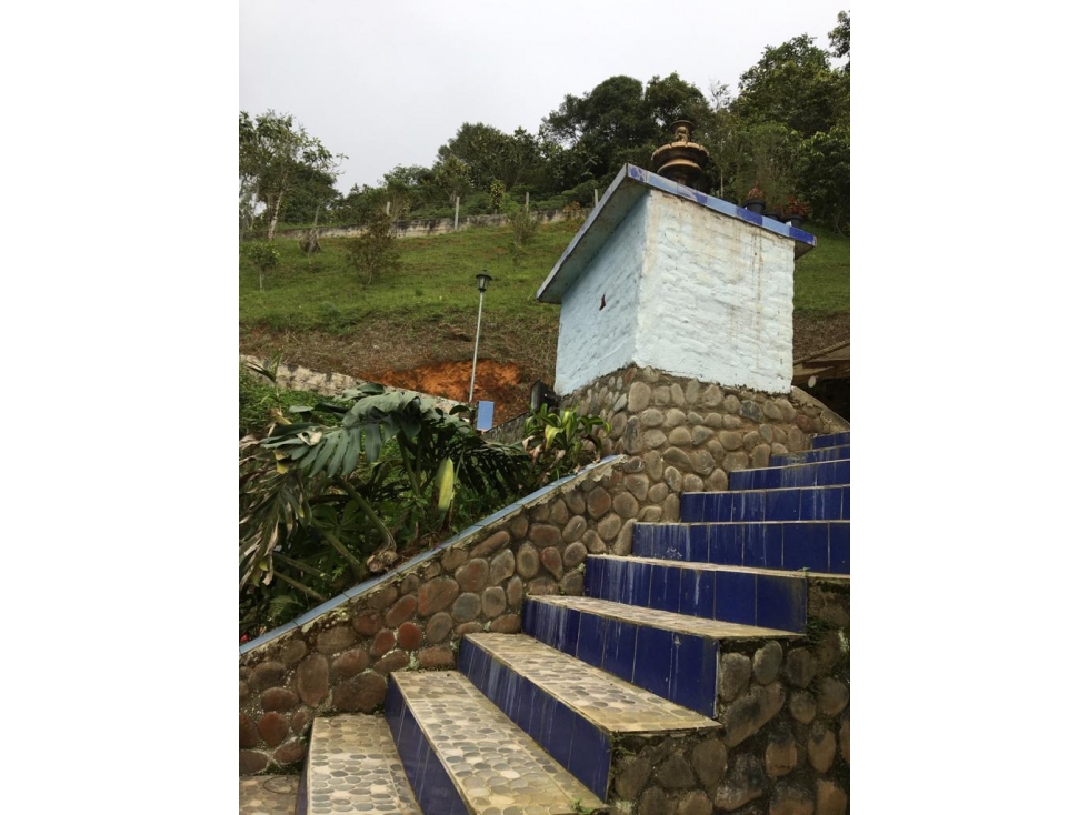 FINCA EN VENTA | TOCOTA VALLE DEL CAUCA — foto 6