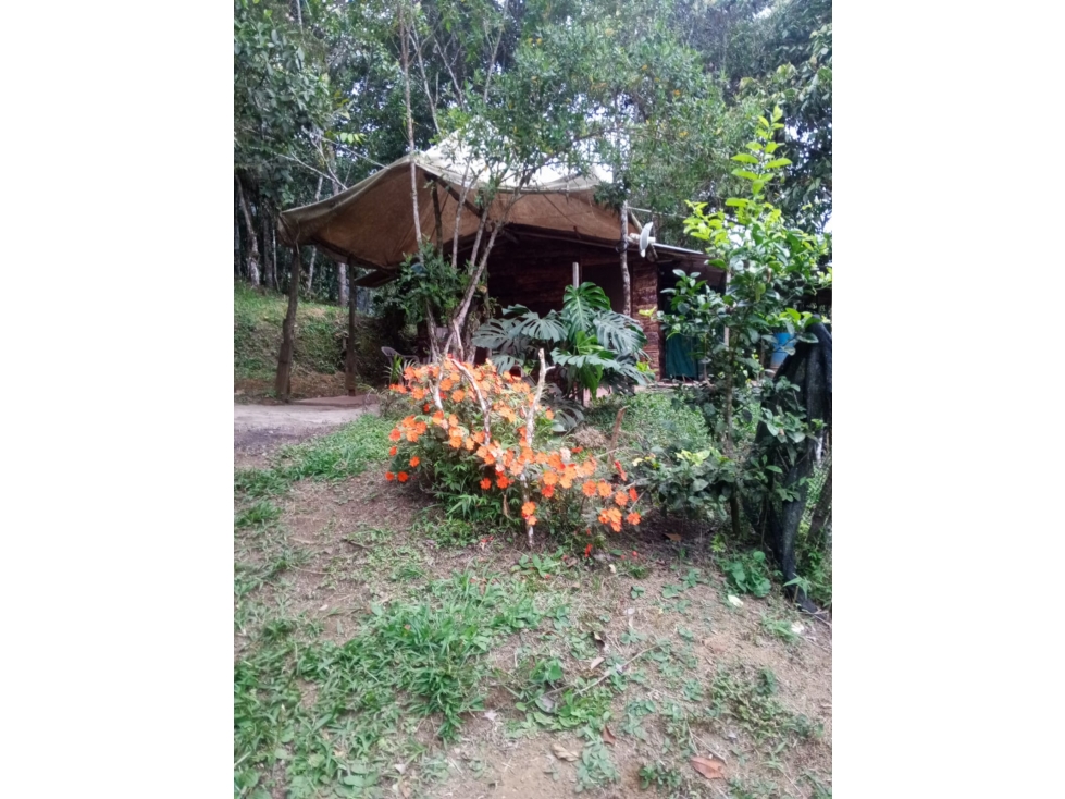 VENTA LOTE EN TOCOTA | DAGUA - 6
