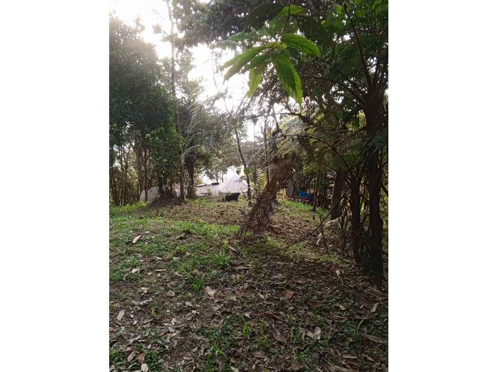 VENTA LOTE EN TOCOTA | DAGUA - 3