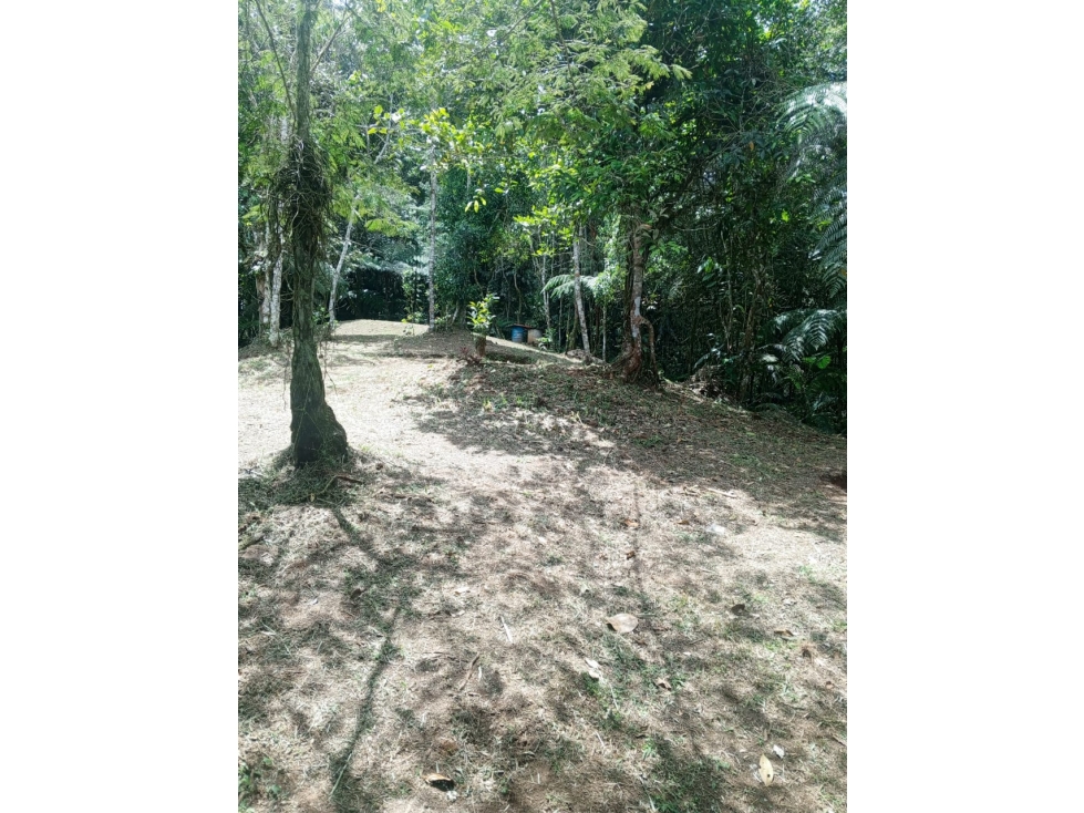 VENTA LOTE EN TOCOTA | DAGUA - 4