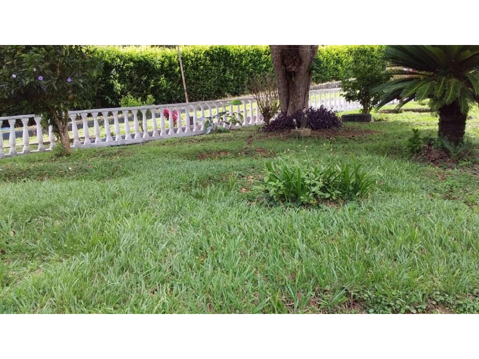 VENTA FINCA DAGUA - KL 34 CCH — foto 6