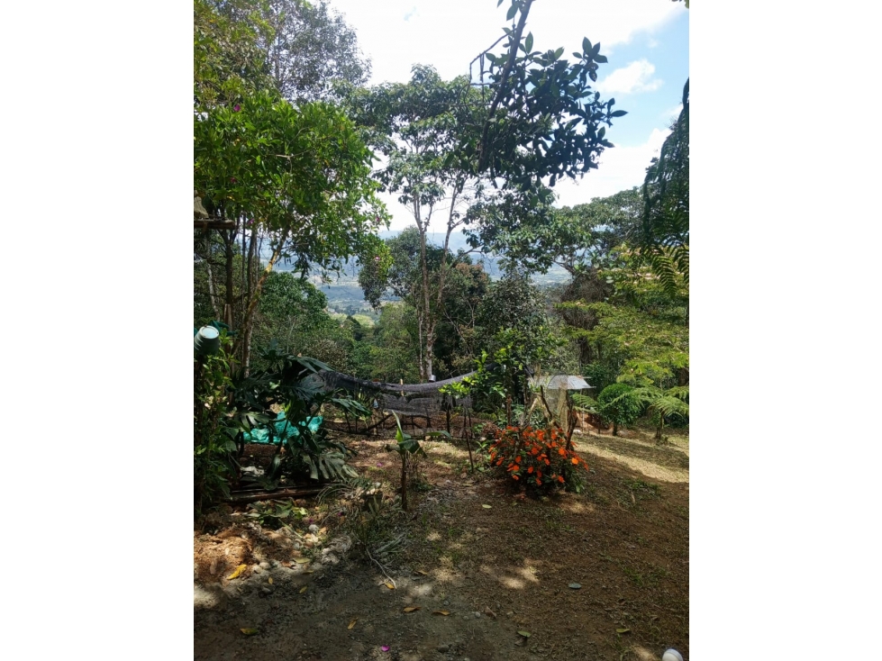VENTA LOTE EN TOCOTA | DAGUA - 5