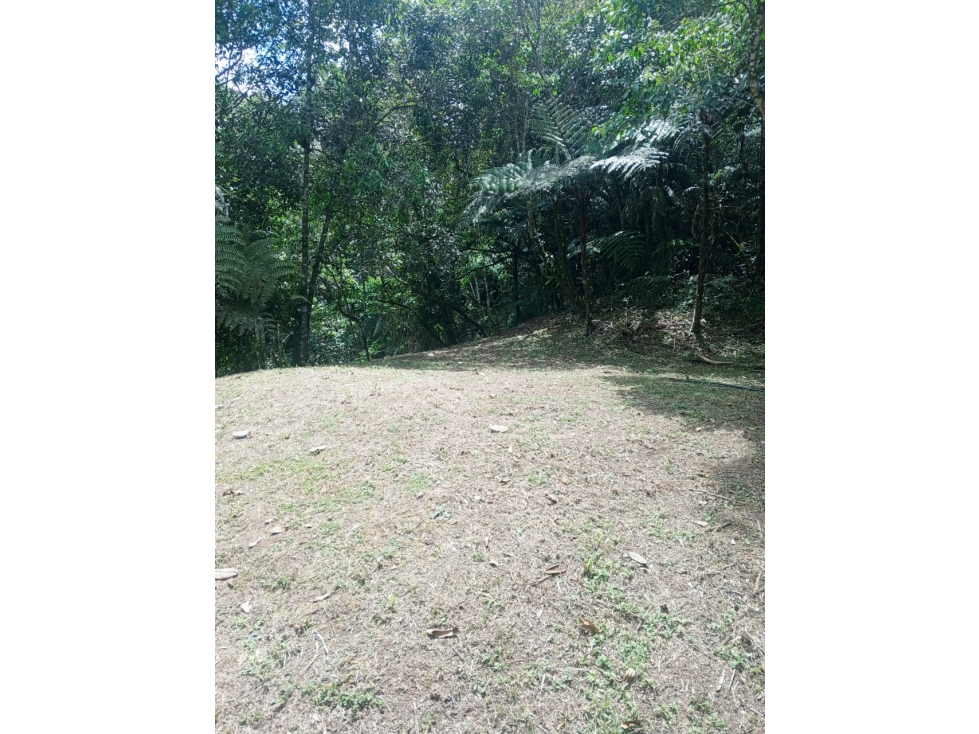 VENTA LOTE EN TOCOTA | DAGUA - 1
