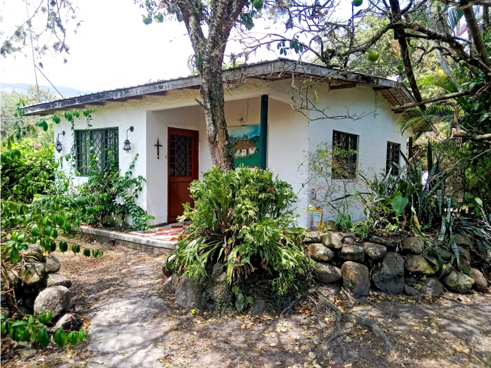 SE VENDE FINCA CON CABAÑAS EN IBAGUE — foto 4