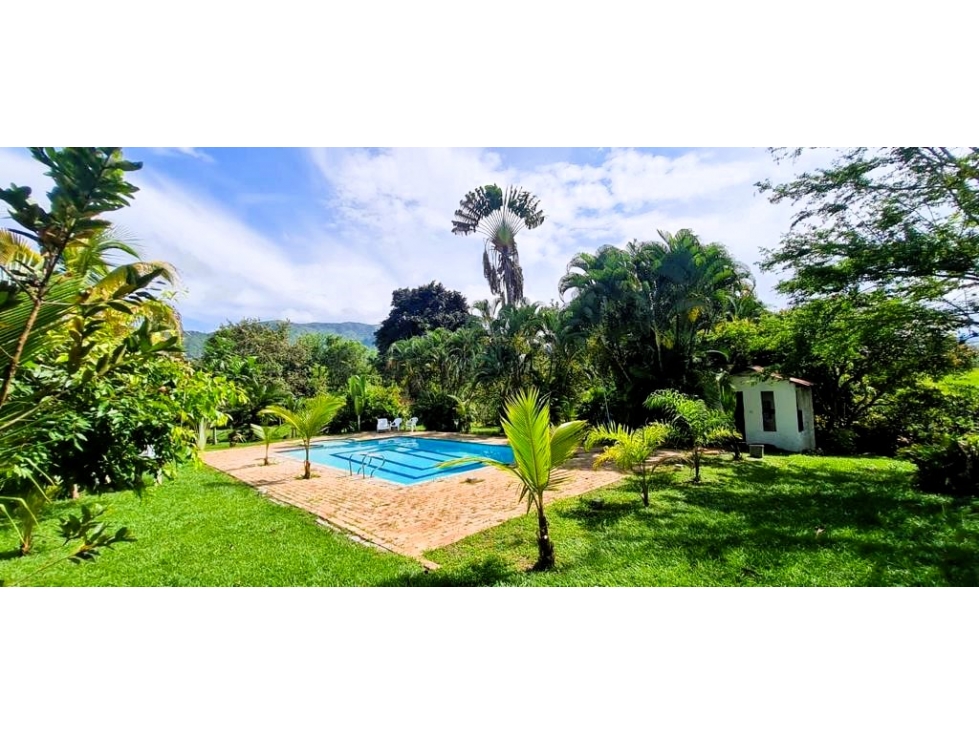 SE VENDE FINCA CON CABAÑAS EN IBAGUE — foto 5