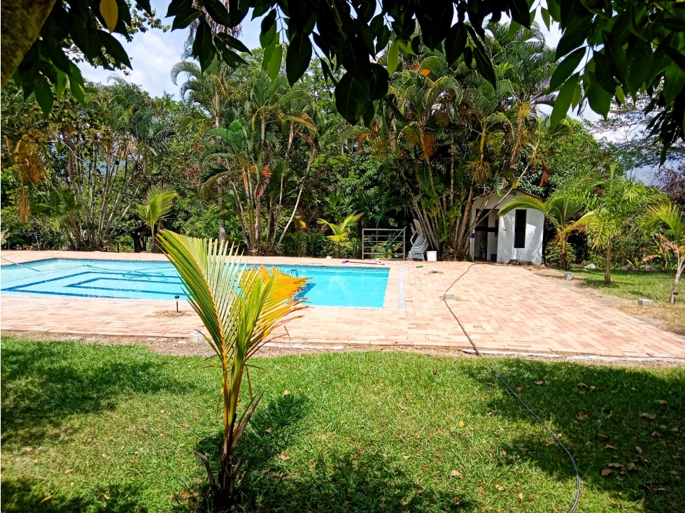 SE VENDE FINCA CON CABAÑAS EN IBAGUE — foto 6