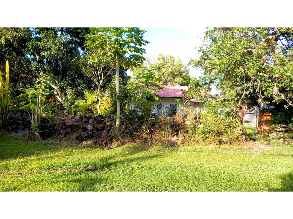 SE VENDE FINCA CON CABAÑAS EN IBAGUE — foto 3