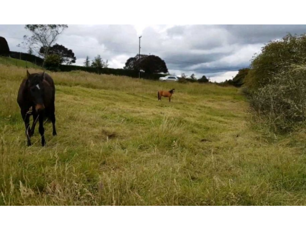 SE VENDE LOTE VEREDA SAN GABRIEL SOPO — foto 3