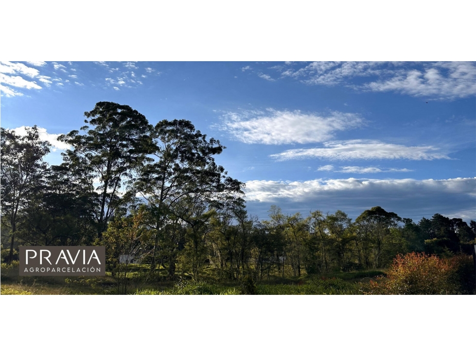 SE VENDE LOTE EN RIONEGRO ANTIOQUIA — foto 5