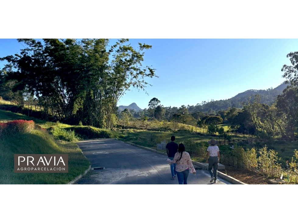 SE VENDE LOTE EN RIONEGRO ANTIOQUIA — foto 6