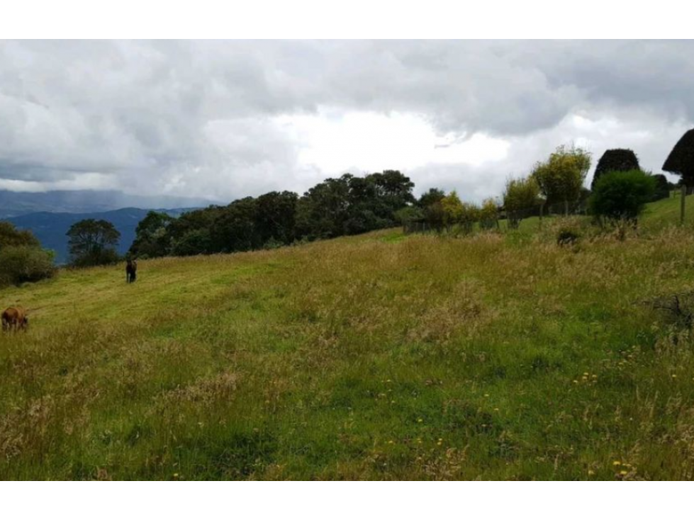 SE VENDE LOTE VEREDA SAN GABRIEL SOPO — foto 6