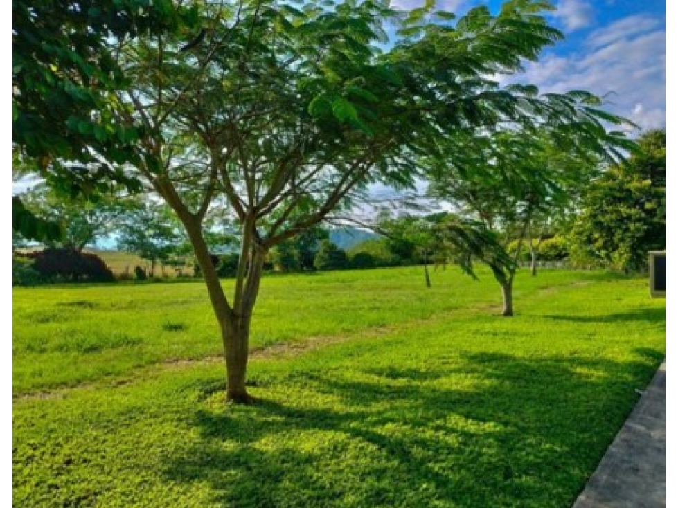 VENTA LOTE CONDOMINIO VIA CERRITOS LA VIRGINIA PEREIRA ENTRADA 4 — foto 5
