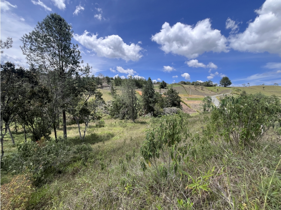 Lote urbanizado, en Parcelación en la vía San Antonio y La Ceja — foto 2
