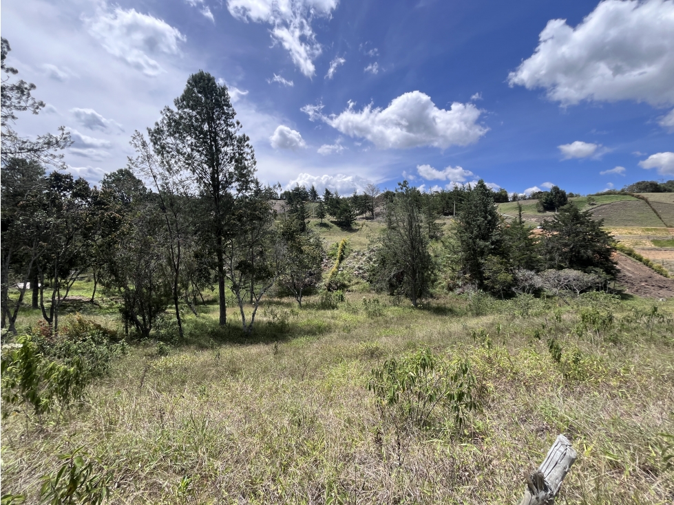 Lote urbanizado, en Parcelación en la vía San Antonio y La Ceja — foto 3
