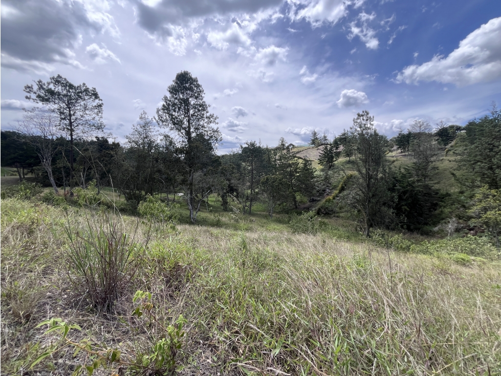 Lote urbanizado, en Parcelación en la vía San Antonio y La Ceja — foto 4