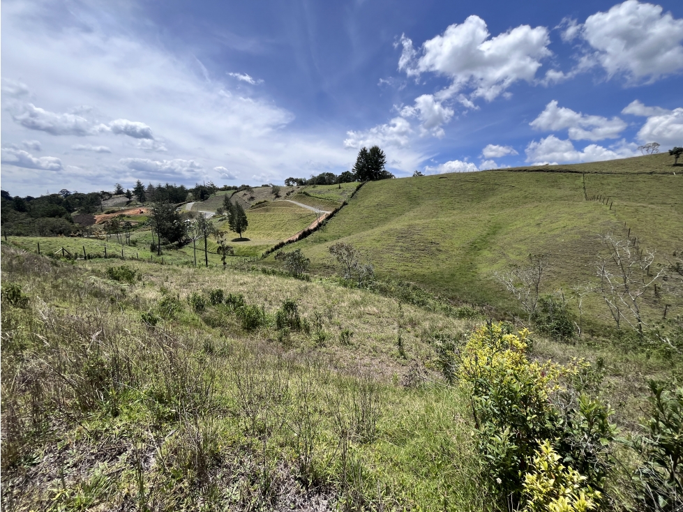 Lote urbanizado, en Parcelación en la vía San Antonio y La Ceja