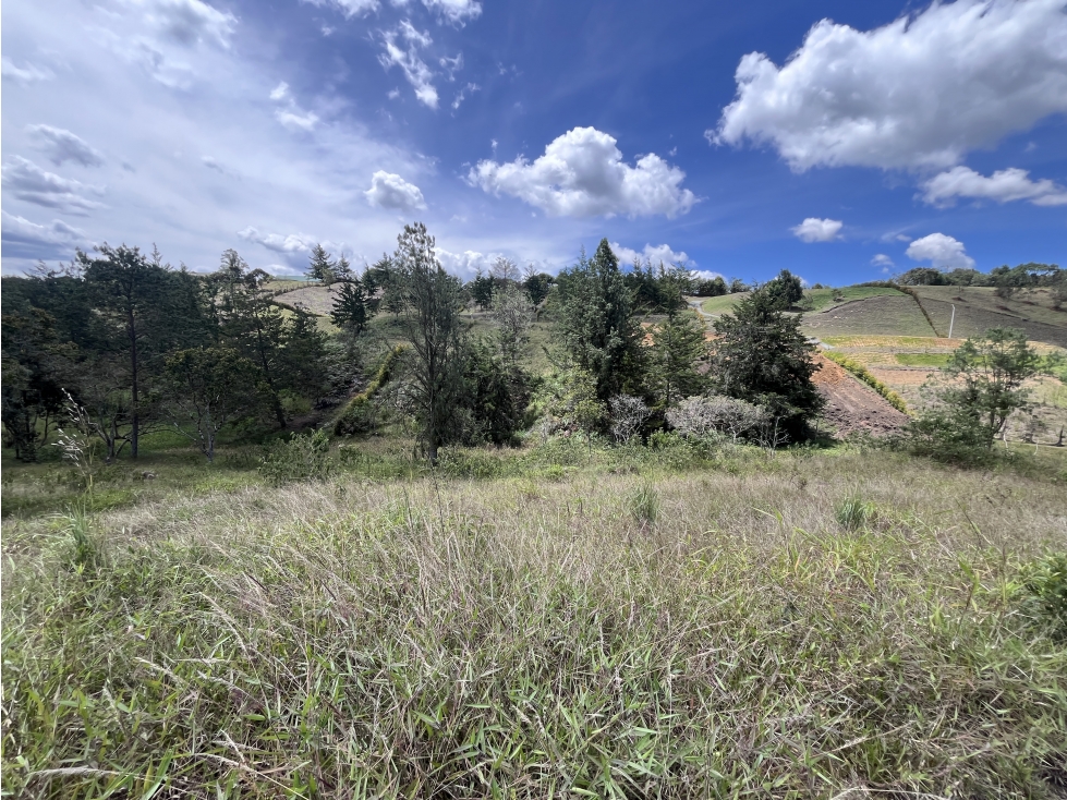 Lote urbanizado, en Parcelación en la vía San Antonio y La Ceja