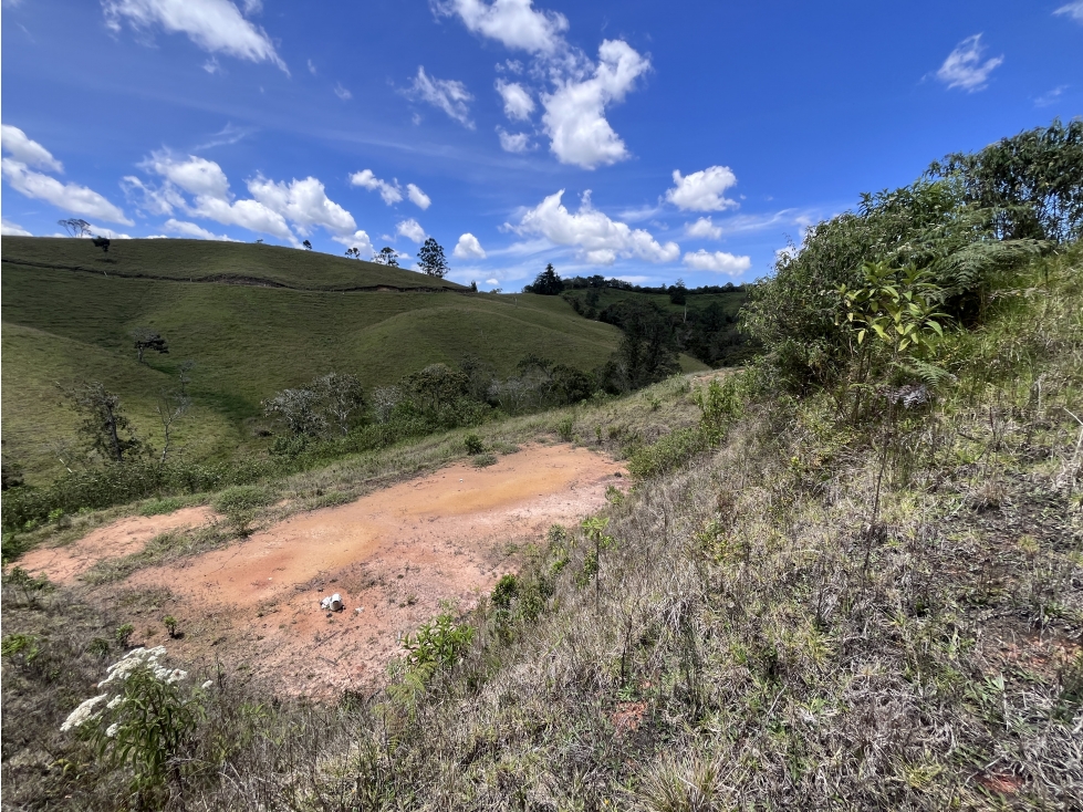 LOTE URBANIZADO EN LA VÍA SAN ANTONIO-LA CEJA — foto 3
