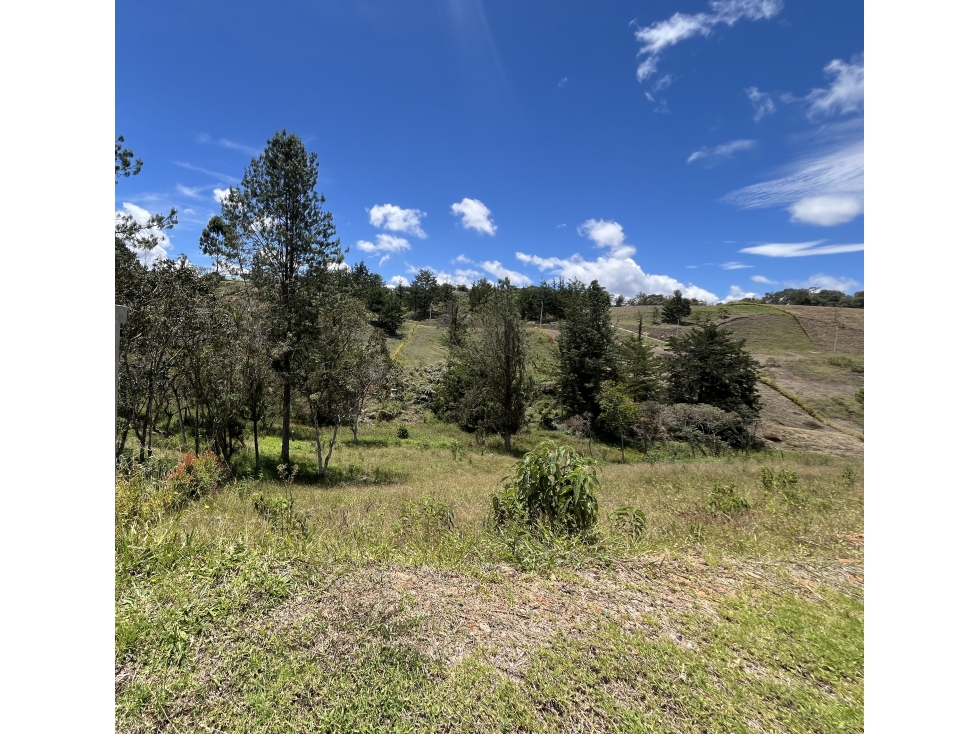 Lote urbanizado, en Parcelación en la vía San Antonio y La Ceja — foto 5