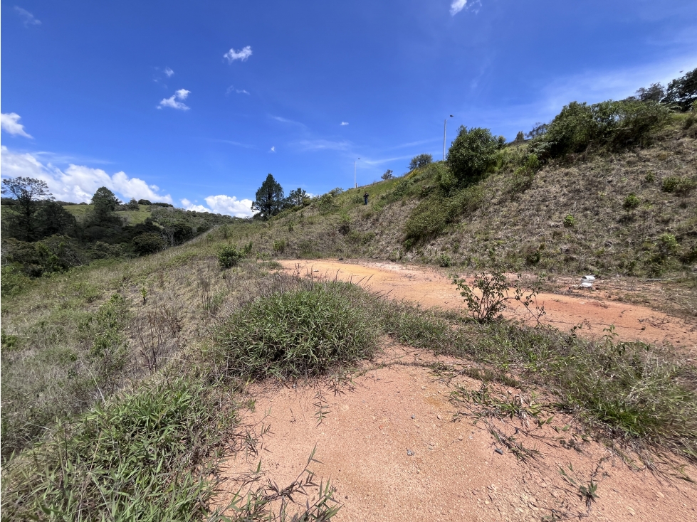 LOTE URBANIZADO EN LA VÍA SAN ANTONIO-LA CEJA — foto 5