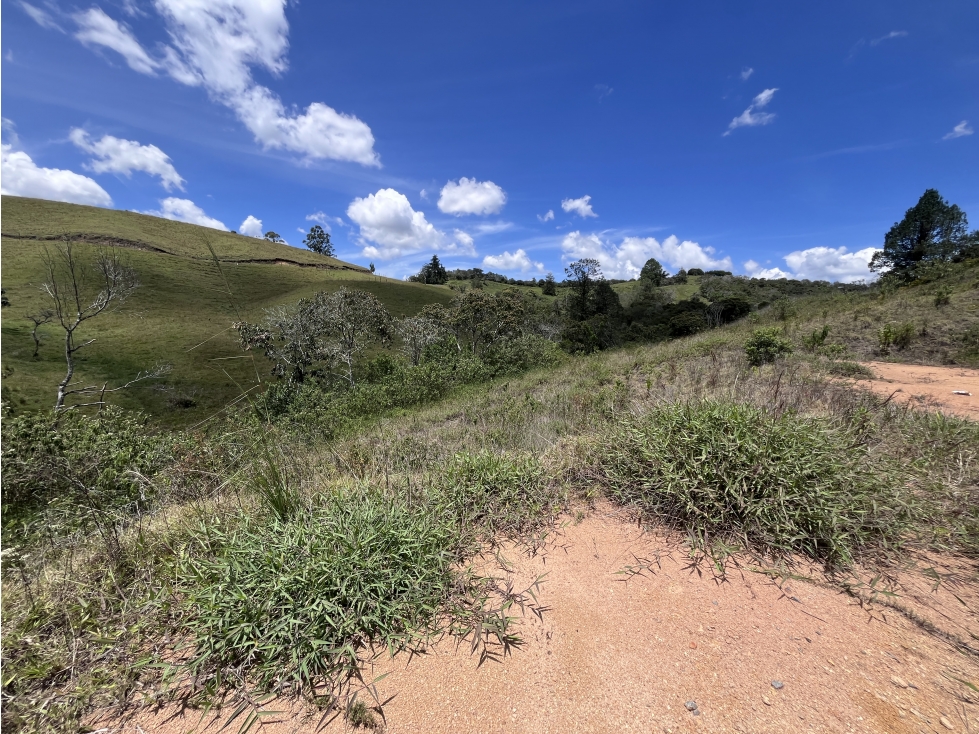 LOTE URBANIZADO EN LA VÍA SAN ANTONIO-LA CEJA — foto 6