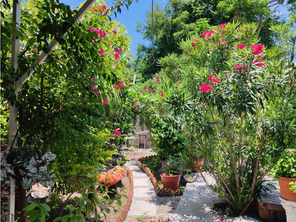VENTA DE CASA PUENTE DE IXTLA,MOR - 4