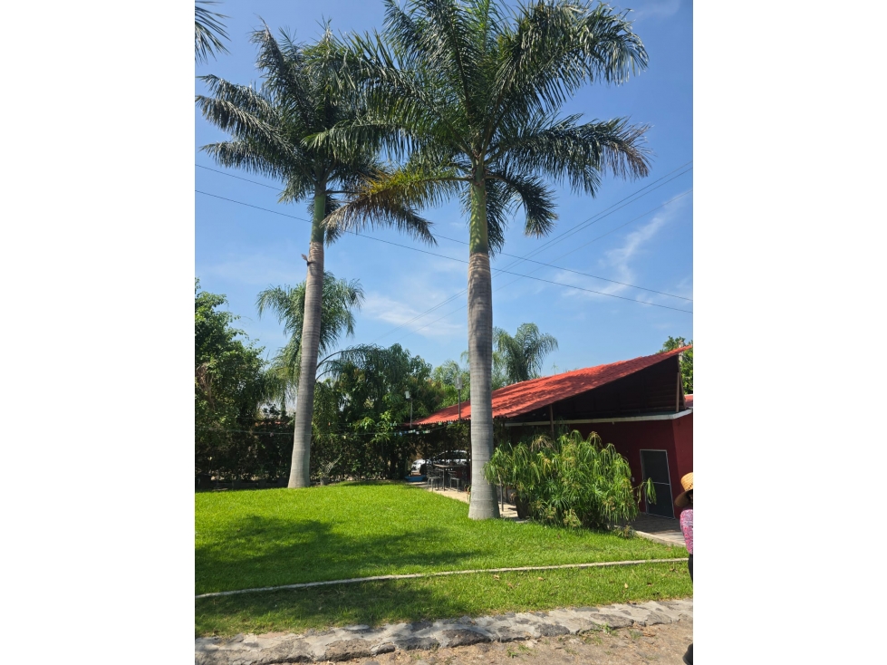 VENTA DE CASA Y TERRENO EN YAUTEPEC - 2