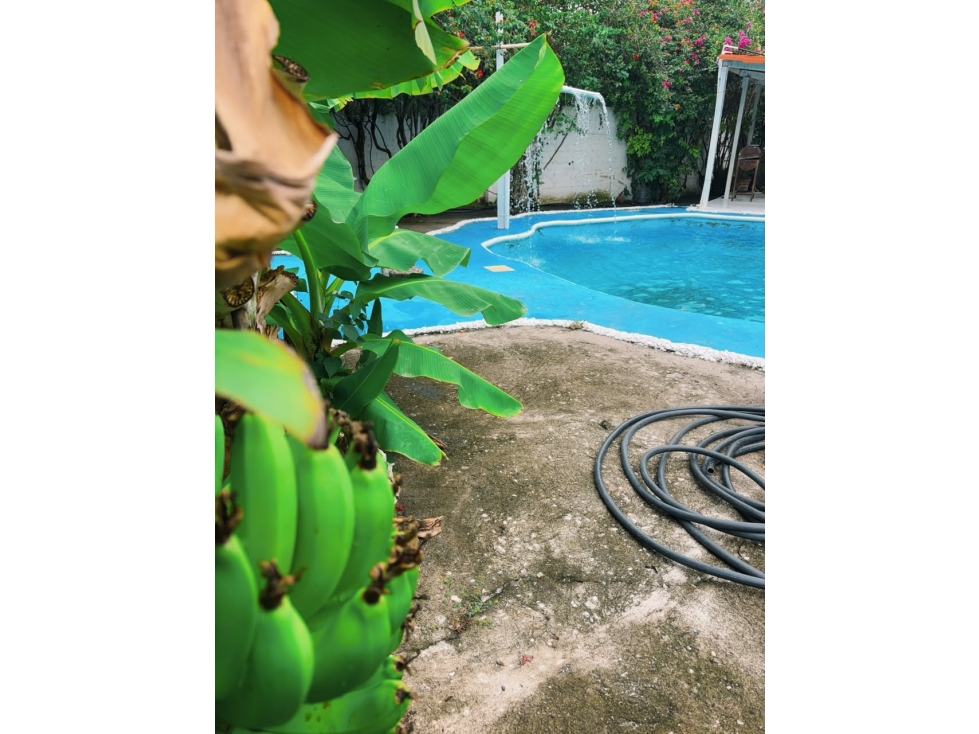 VENTA DE CASA EN CUAUTLA,MORELOS - 4