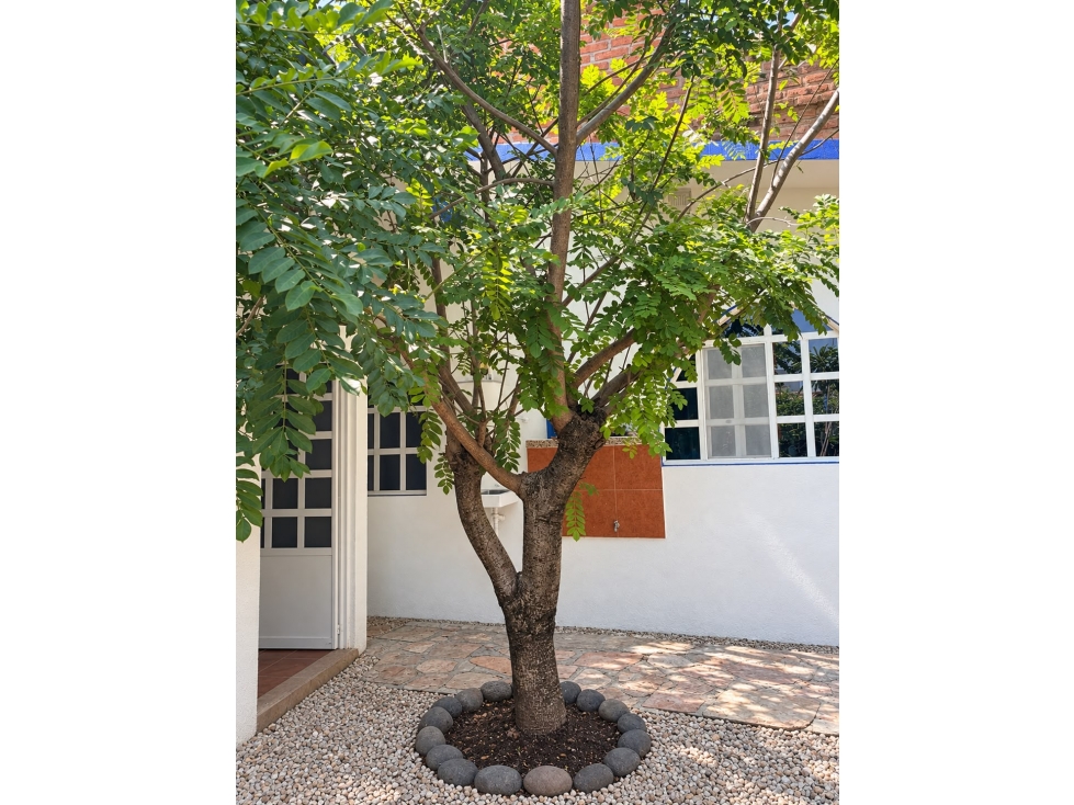 VENTA DE CASA YAUTEPEC — foto 4