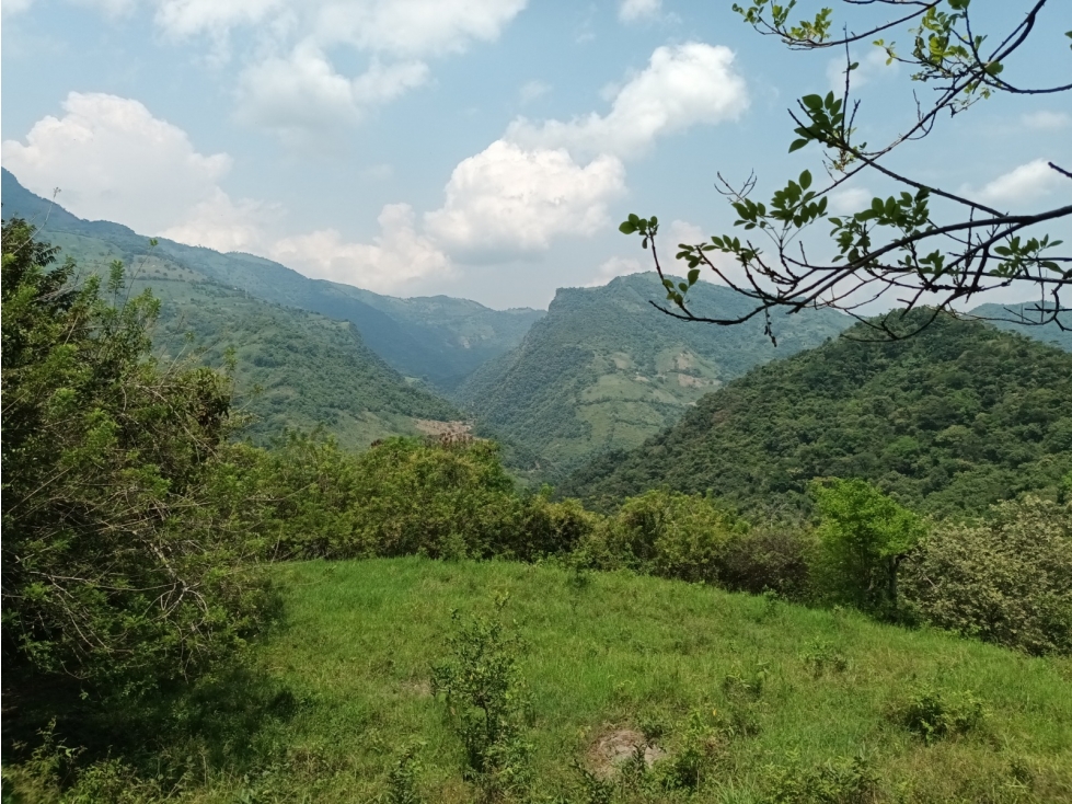 Lote de 10.133m/2 en Tobia Vía Nimaima - 2