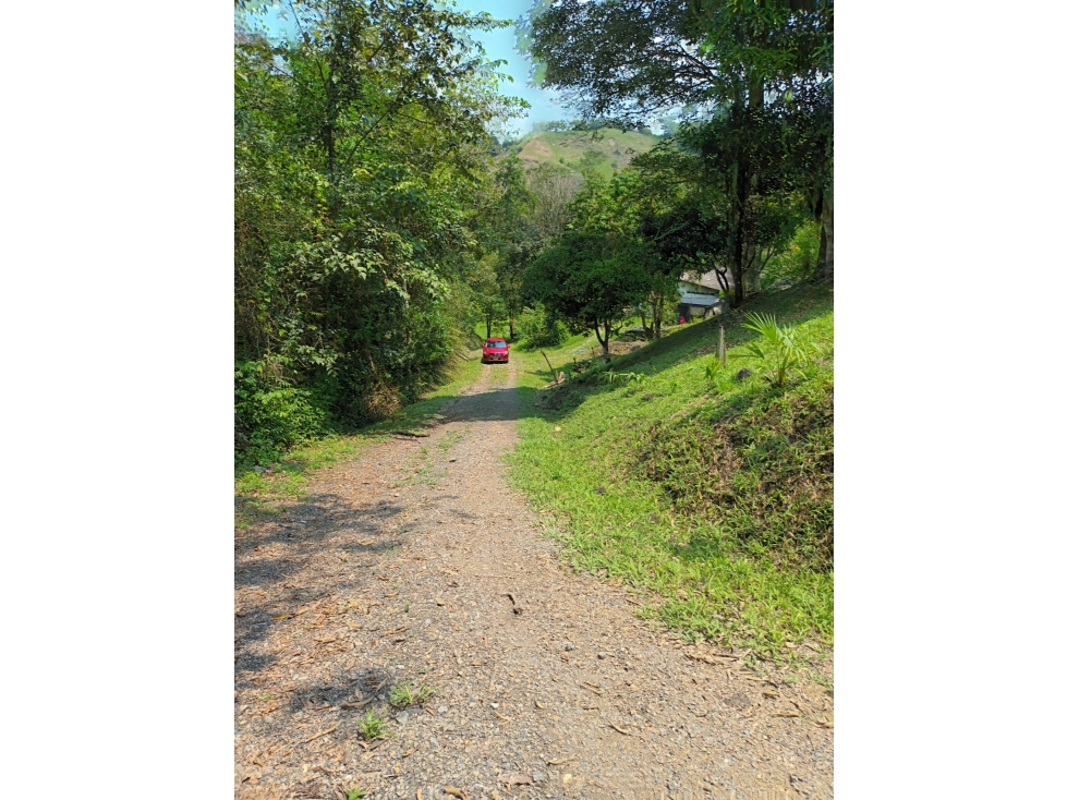Lote de 10.133m/2 en Tobia Vía Nimaima - 3