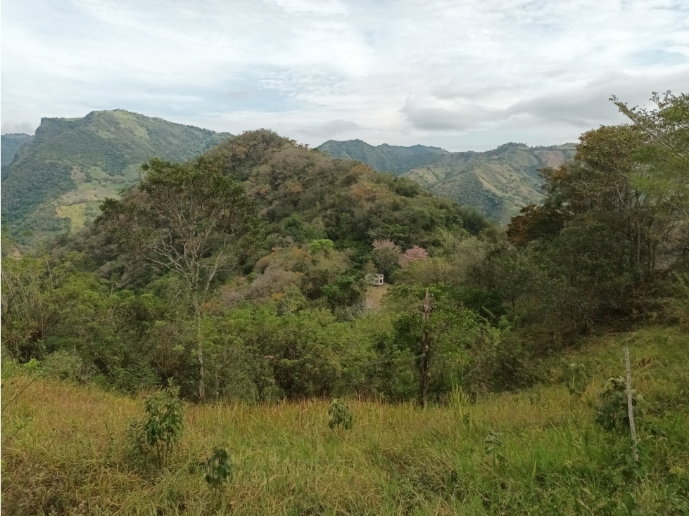 Lote de 10.133m/2 en Tobia Vía Nimaima - 4