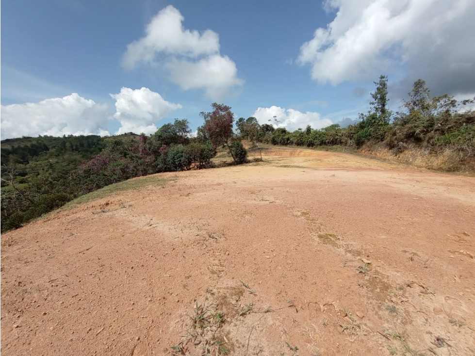 LOTE SAN VICENTE