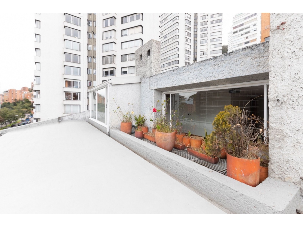 Arriendo Penthouse Duplex - Rosales Bajo — foto 4