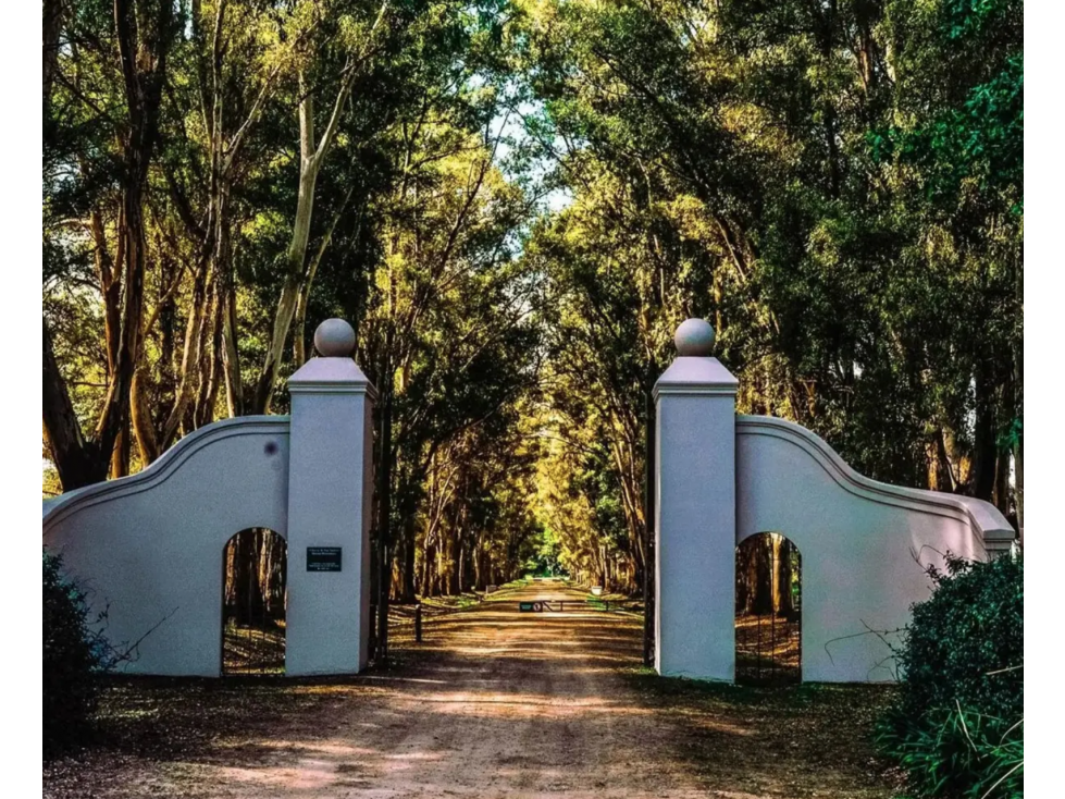 LOTE EN VENTA EN CHACRAS DE SAN ANDRÉS LOTE 280 BARRIO LA MONTURA - 1