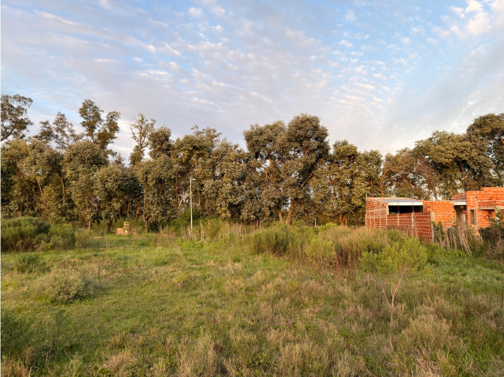 TERRENO EN VENTA BARRIO AMANECERES LOTE 3 LUJÁN — foto 5
