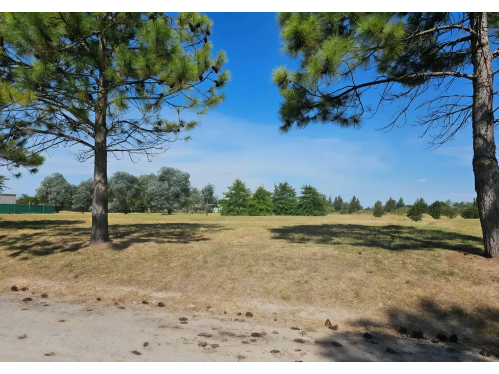 LOTE EN VENTA EN EVERLINKS GOLF & COUNTRY CLUB LOTE 189 - 5