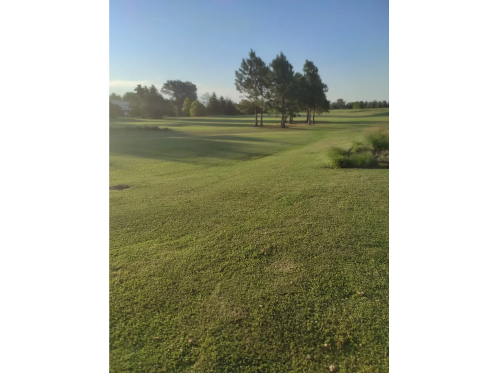 TERRENO EN VENTA BARRIO PRIVADO LA PRIMAVERA GOLF CARLOS KEEN LOTE 32 - 3