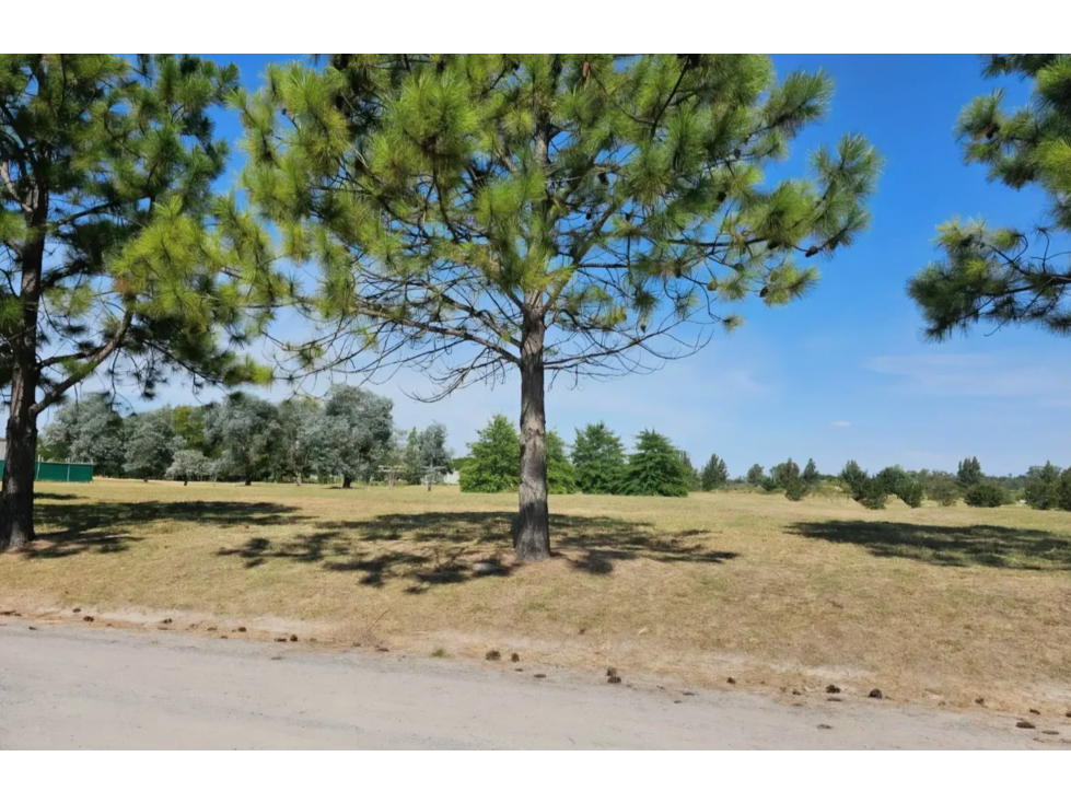 LOTE EN VENTA EN EVERLINKS GOLF & COUNTRY CLUB LOTE 189 - 4