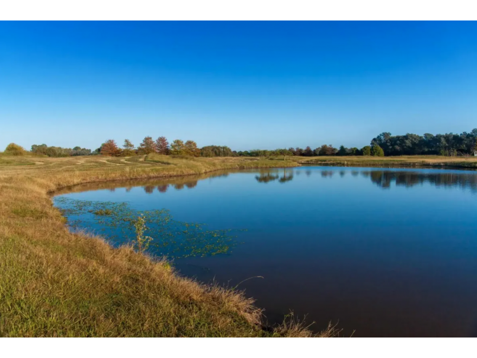 LOTE EN VENTA EN BARRIO PRIVADO LA PRIMAVERA GOLF CARLOS KEEN LOTE 217 - 2