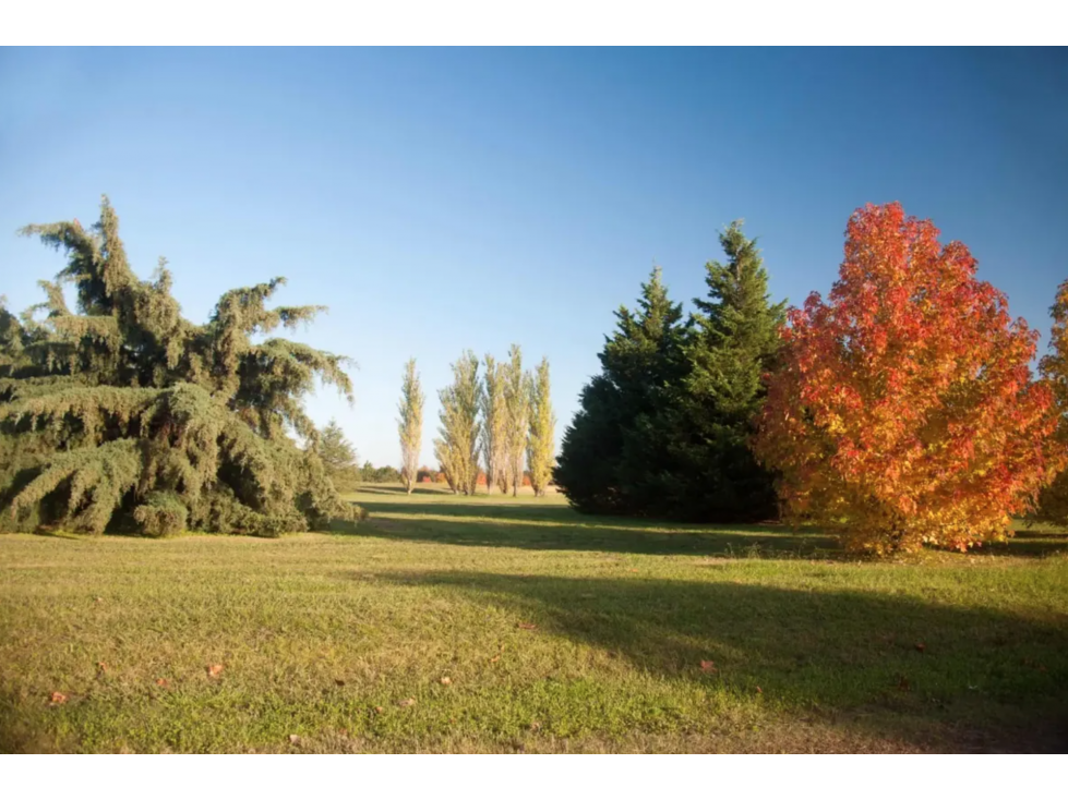LOTE EN VENTA EN BARRIO PRIVADO LA PRIMAVERA GOLF CARLOS KEEN LOTE 217 - 3