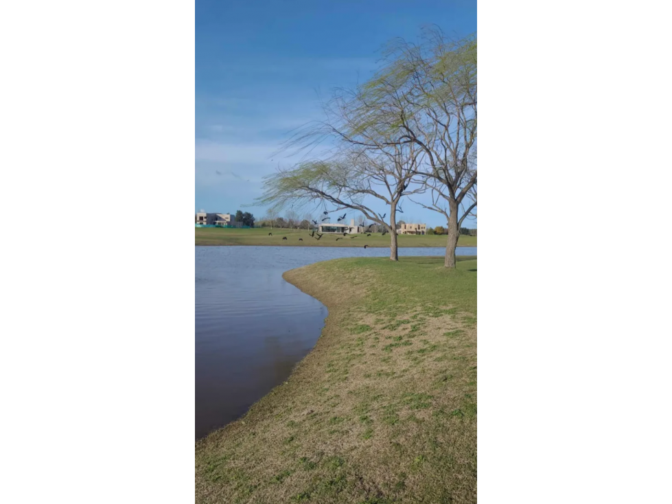 LOTE EN VENTA EN BARRIO PRIVADO LA PRIMAVERA GOLF CARLOS KEEN LOTE 217 - 5