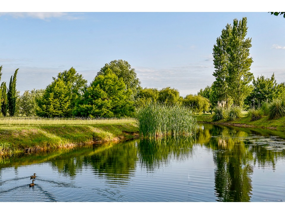 Lote Premium Everlinks Golf | Esquina Única UP 156 | 180° Vista - 6
