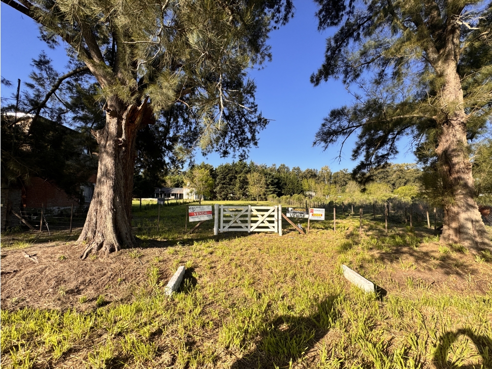 Exclusivo lote en el Bº Las Casuarinas de Luján -Frente al Club hipico — foto 4