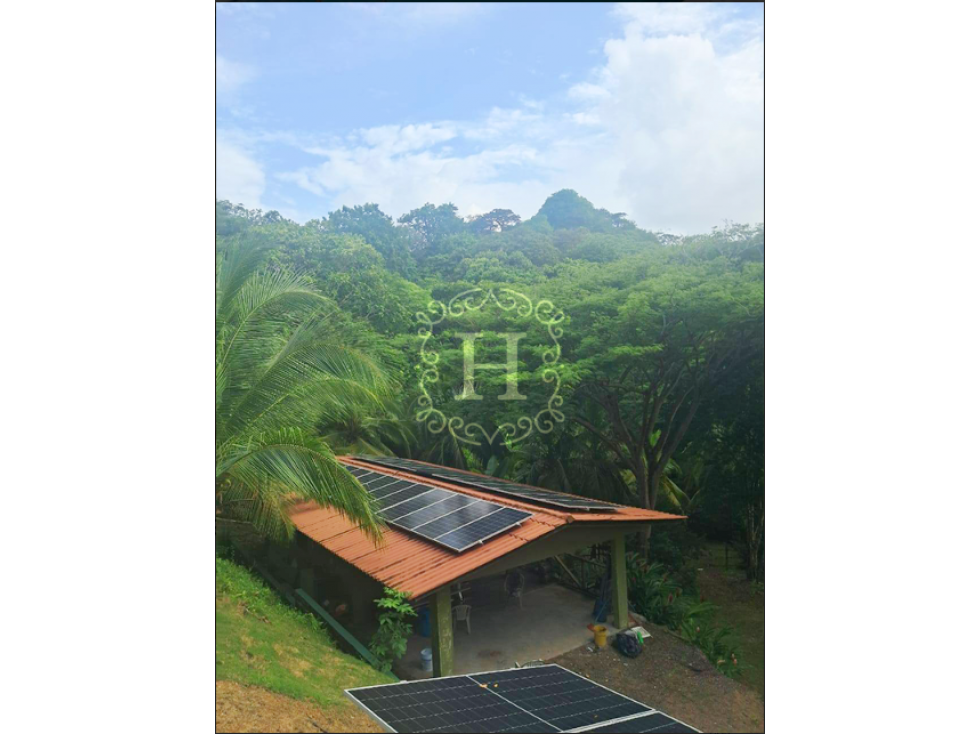 FOR SALE | LUXURY JUNGLE GLAMPING PORTOBELO - 3